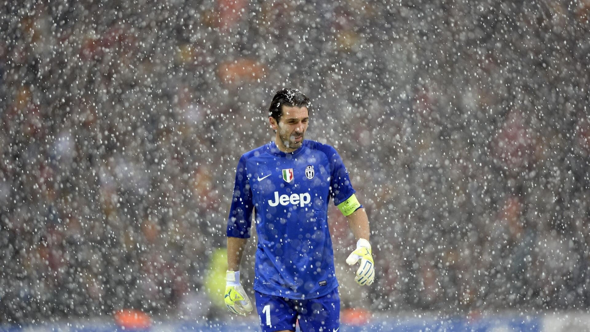 开云体育官网-伊布天神下凡！塞内加尔锋霸一战封神，贝蒂斯王朝于巅峰对决中轰然倒塌